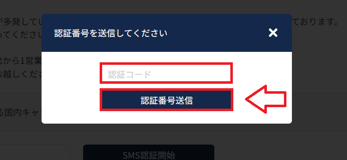 ラッコサーバーのSMS認証番号入力画面